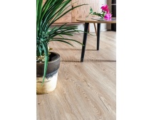   Click ECO 6-6 ( 1)