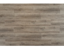   8880-EIR ( 9)
