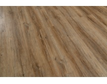   8895-EIR ( 6)